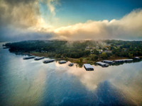 Foggy Morning Over Knob Hill Acres