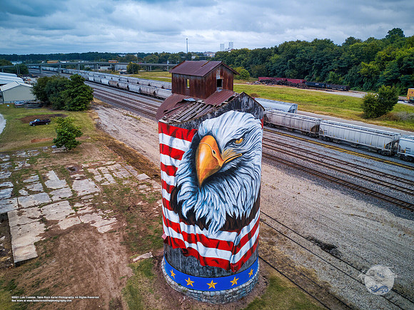 Patriotic Grain Silo