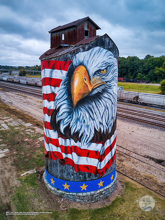Patriotic Grain Silo